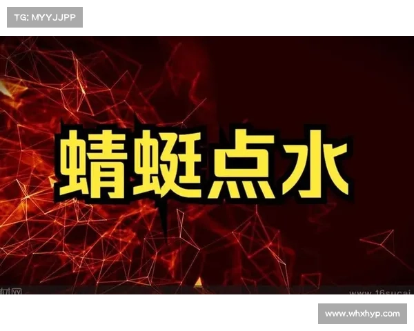 蜻蜓点水般的在线探索技巧揭示轻松掌握信息快速获取的秘密 蜻蜓点水般的在线探索技巧揭示轻松掌握信息快速获取的秘密