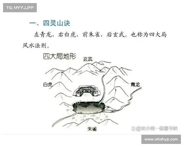 进入朱雀天境的必修步骤与注意事项详解