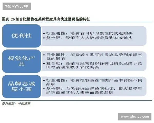 如何在中甲联赛中脱颖而出实现成功的策略与实践经验分析